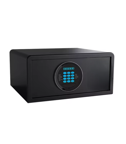 Hotel Room Digital Locker